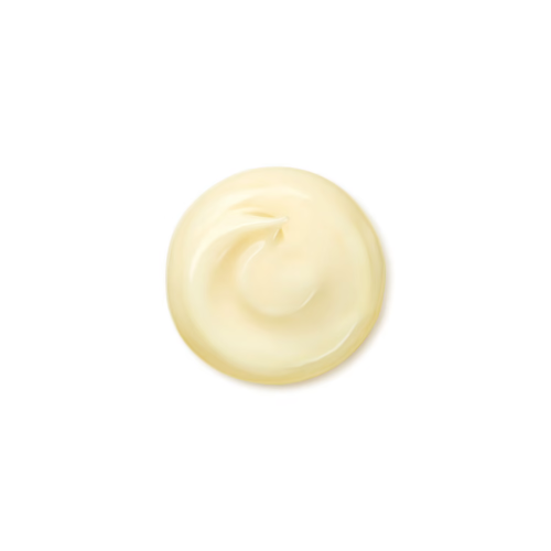 SHISEIDO Benefiance Wrinkle Smoothing Day Cream 30ml-image1