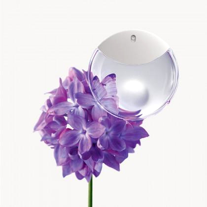 ISSEY MIYAKE SET A Drop d'Issey Eau de Parfum Vapo 50ml + Handcream 2x50ml-image